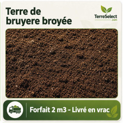 Terre de bruyère forestière naturelle pour plantes acidophiles