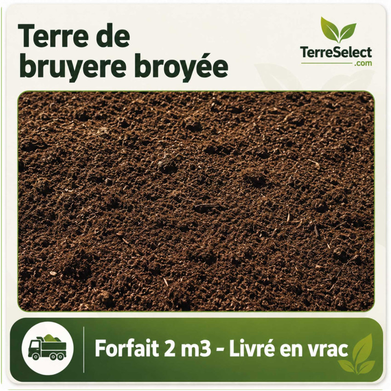 Terre de bruyère forestière naturelle pour plantes acidophiles