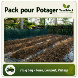 commencer un potager