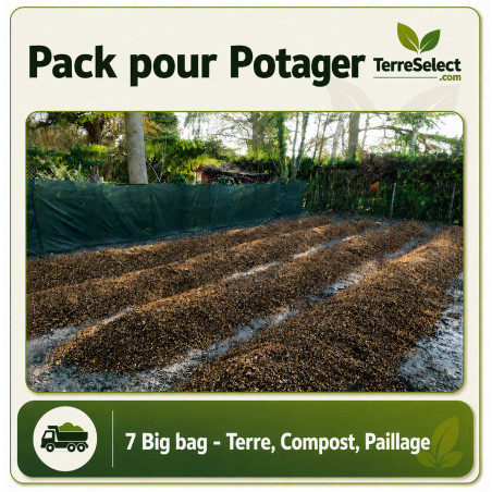 commencer un potager