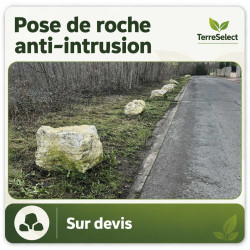 Roche massive installée par camion grue pour sécuriser un espace vert en Île-de-France