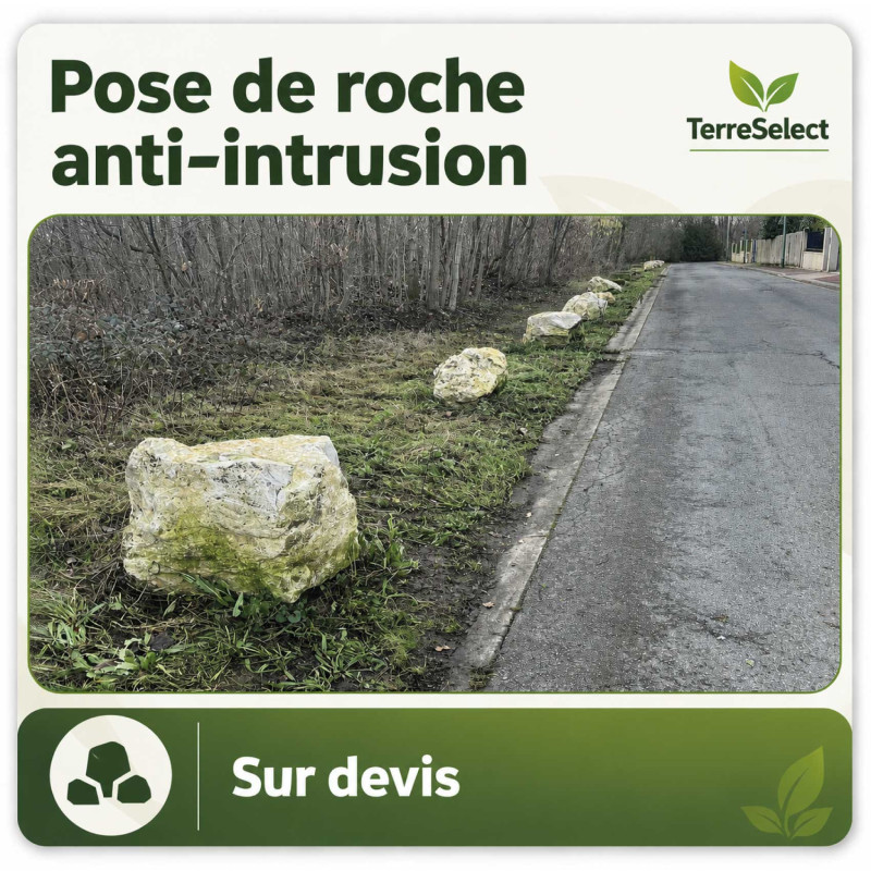 Roche massive installée par camion grue pour sécuriser un espace vert en Île-de-France