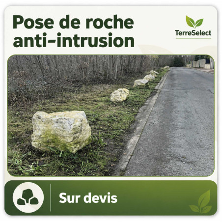Roche massive installée par camion grue pour sécuriser un espace vert en Île-de-France