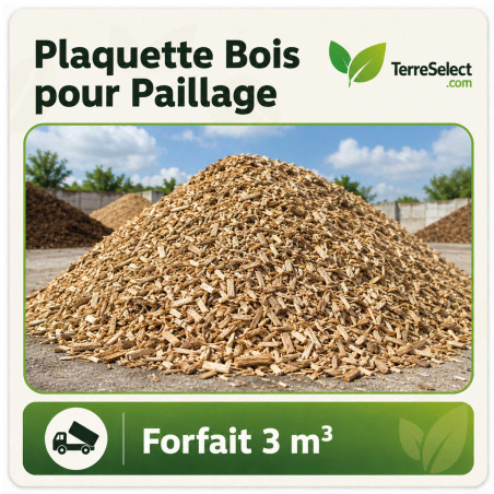 Plaquettes forestières criblées en forfait 3 m³ pour paillage de massifs en Île-de-France