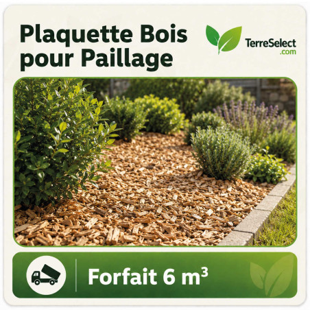 Plaquettes forestières criblées en forfait 6 m³ pour paillage de grands massifs en Île-de-France